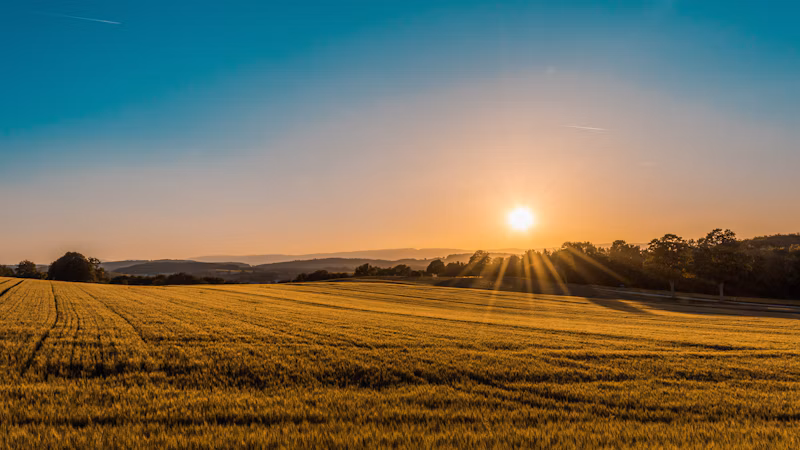 Fertilizantes e Corretivos